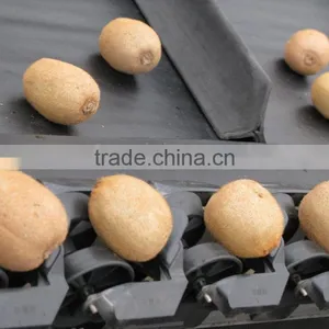 Kiwi Fruit Grading Machine Sorter Grader thumbnail-1