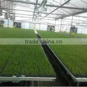 Newest Top Quality Hydroponic Rice Seedling Tray thumbnail-6
