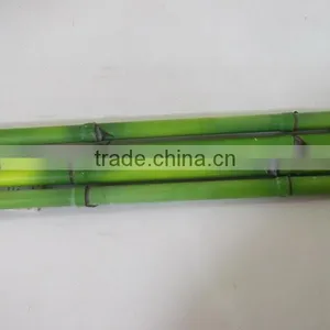 Artificial Lucky Bamboo Pole,real Trunk Bamboo Branches With Plastic Leaves thumbnail-4