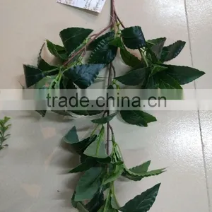 CHY070908 High Quality Tree Leaves/Bay Leaf Craft/bay Leaf Production thumbnail-1