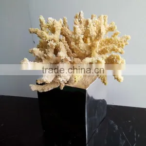 Polyresin Coral Decoration thumbnail-5