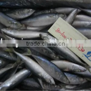 New W/R FROZEN MACKEREL thumbnail-1
