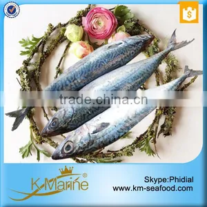 Wholesale Mackerel Frozen Foods thumbnail-3