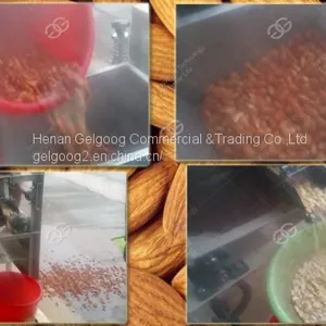 Wet Almond|Peanut|Broad Bean|Chickpea Skin Peeling Machine With Factory Price thumbnail-2