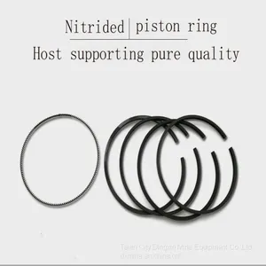 Piston Ring thumbnail-5