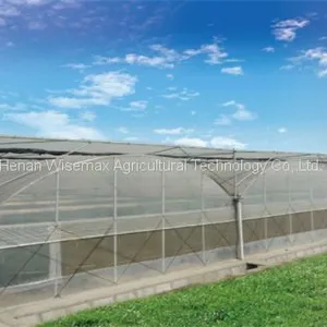 Agriculture Tomato Vegetable Double Plastic Film Inflatable Greenhouse thumbnail-1
