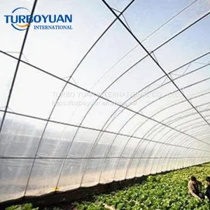 China Manufacturer Clear Plastic Film Plastic Cover for Greenhouse thumbnail-5
