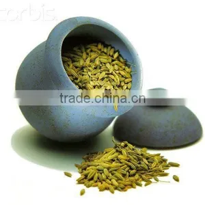 Fennel Seeds thumbnail-1