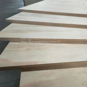 High Quality Pine Plywood thumbnail-2