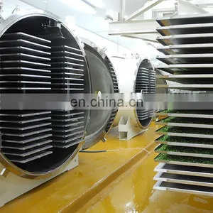 Continuous Commercial Food Freeze Dryer Customized 1000kg Fruit Freeze Dryer Sale Price thumbnail-4