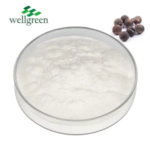 FREE SAMPLE Soapnut Saponin for Shampoo and Detergent Sapindosides 40% 70% Soapberry Fruit Extract Powder thumbnail-1