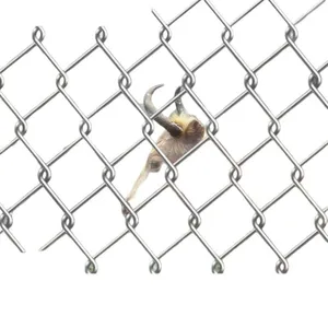 Chain Link Fence With 10-Year Warranty Against Rust and Corrosion thumbnail-3