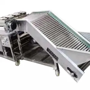Avocado Fruit Sorting Grading Machine Sorter Grader Machine Line Classifying Machines thumbnail-4