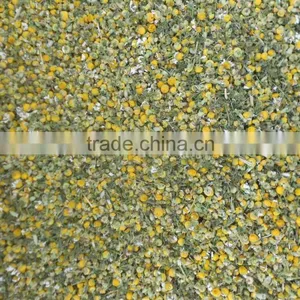 Mesh Belt Dryer for Chrysanthemum thumbnail-4