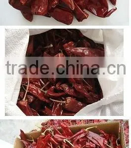 ASAT120~220, Moisture 14%max, Dried Red Chilli,Yidu Chilli Quality Choice thumbnail-3