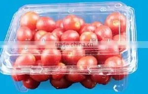 Box,container, Clame Shell Box thumbnail-1