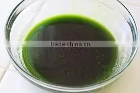 Fennel Oil (Foeniculum Vulgare) thumbnail-4