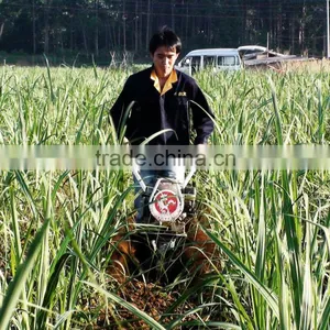 Single Cylinder Sesame Agriculture Mini Tractor Mini Tractors China thumbnail-1