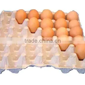 Molded Pulp Automatic Tray Seed Machine thumbnail-5