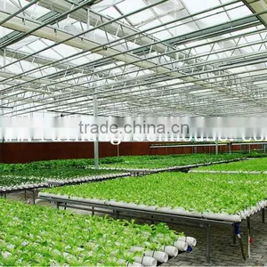 Vegetable-growing Greenhouse-commercial Greenhouses thumbnail-5