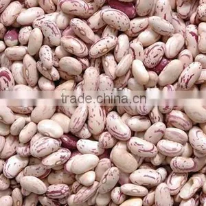 we Are Supply Speckled Kidney Beans With Good Quality for Sale thumbnail-3
