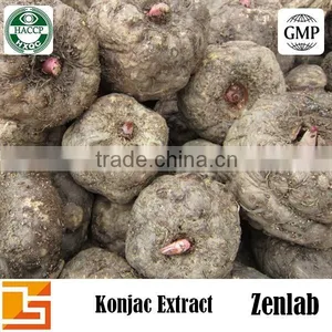 High Quality Organic Konjac Glucomannan Powder Extract thumbnail-4