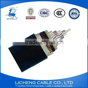 Yjy Cable,aluminum Core Pvc Insulated Pvc Sheathed Power Cable(vlv/vv) 1*50mm thumbnail-1