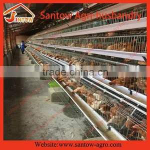 Automatic Chicken Egg Layer Cages Hen House Chicken Coop for Nigeria Farm thumbnail-3