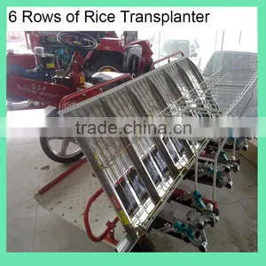 Philippine Diesel 6 Rows Rice Transplanter Price thumbnail-2