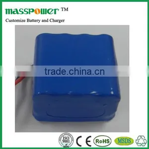 Rechargeable 12 Volt Lithium Ion Battery thumbnail-1