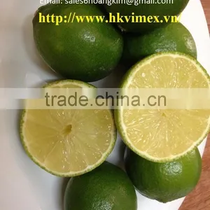 Fresh Lime / Lemon Vietnam thumbnail-1