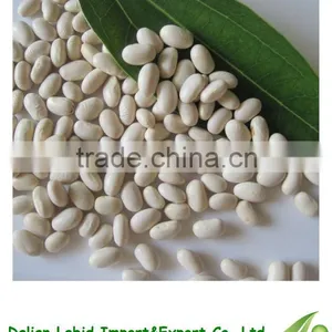 White Kidney Beans Products Price For Sale 2016 Crop thumbnail-1