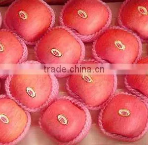 New Crop Fresh Fuji Apple thumbnail-2