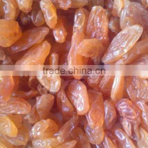 Raisin thumbnail-1