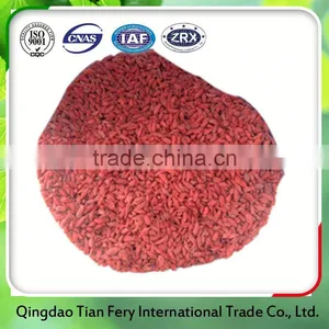 Organic Bacche Di Goji Tibet thumbnail-1