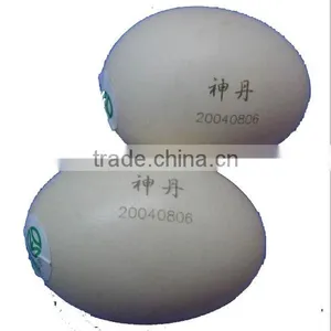 10W CO2 Laser Logo Printing Machine for Sale Used in Eggs Fruits Laser Printer With Trade Assurance thumbnail-6