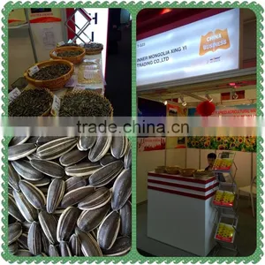 Well Selected Sunflower Seeds 5009 thumbnail-1