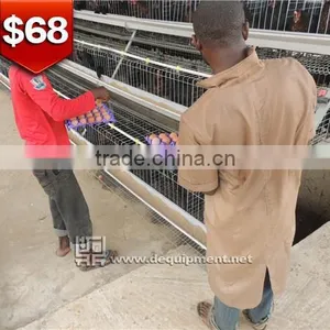 TA NO.1 Lagos Office Broiler Chicken Cage for Poultry Farm for Nigeria thumbnail-1