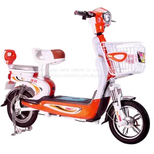 48v Lead Acid Battery Electric Bike Electric Bicycle With Basket for Wholesale thumbnail-2