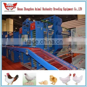 Hot Chicken Layer Cage/ Hens Chicken Cage/chicken Farm/poultry Farm thumbnail-2
