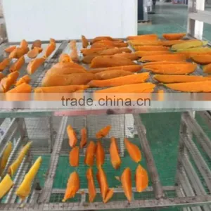 Similar Natural Method Hot Wind Tomato Drying Machine / Tomato Dehydrator Machine / Tomato Dehydration Machine thumbnail-3