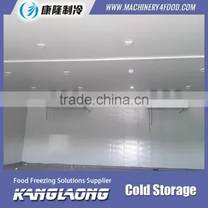 Hot Selling New Technology Container Cold Room thumbnail-5