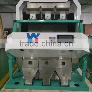 High Quality Pumpkin Kernels Ccd Color Sorter /sorting Machine for Pumpkin Kernels thumbnail-4