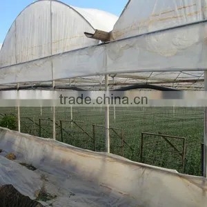 Blowing Molding, Multi-span, Tunnel PE Material, Agricultural Greenhouse Film Manufacturer thumbnail-1
