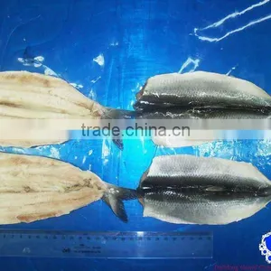 Fresh Herring Fillet Seafood thumbnail-1