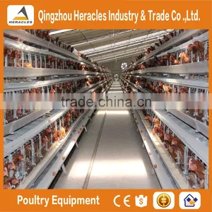 High Quality Cheap Poultry Cage Layer Chicken Used Chicken Cage thumbnail-6