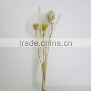 Reed Diffuser With Rattan Sticks Escrima Rattan Sticks thumbnail-1
