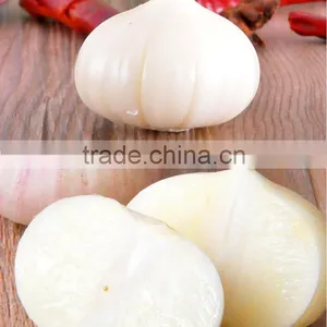 Wholesale Chinese Purple and White Garlic thumbnail-3