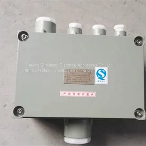 BXJ51 200 200 90 300 300 140 Zeng 'an Explosion-proof Junction Box Terminal Box Distribution Box thumbnail-1