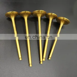 Pick up Truck Spare Parts For Hyundai Tucson Trago Ix35 D6ca D6ac I20 hd 65/72/78 Y20 Intake Exhaust Engine Valve thumbnail-6